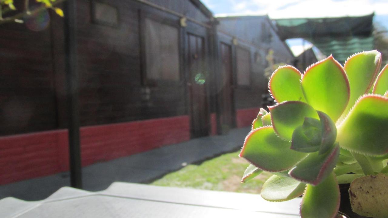 Hostal Del Suri Cafayate Exterior photo